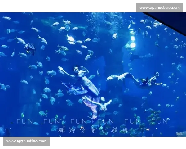 0 基础主播亲历!舟山长乔海洋公园秒变 “美人鱼” 的奇幻之旅 0 基础主播亲历!舟山长乔海洋公园秒变 “美人鱼” 的奇幻之旅