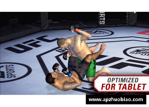 ufc终极格斗比赛规则？(格斗表演赛叫什么？)